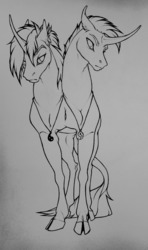 Size: 1138x1920 | Tagged: safe, artist:dementra369, oc, oc only, oc:andy & sam, pony, unicorn, brothers, cloven hooves, conjoined, conjoined twins, jewelry, leonine tail, male, multiple heads, pendant, siblings, stallion, standing, two heads, yin-yang