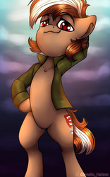 Size: 1875x3000 | Tagged: safe, artist:cornelia_nelson, oc, oc only, oc:roulette, earth pony, pony, fallout equestria, bipedal, clothes, cloud, cloudy, female, jacket, looking at you, mare, pose, showing off, smiling, smirk, smug, solo, standing