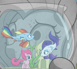 Size: 531x476 | Tagged: safe, artist:skitter, idw, fluttershy, pinkie pie, rainbow dash, rarity, fish, goldfish, rainbow trout, g4, spoiler:comic, spoiler:comic78, bad end, cosmageddon, cropped, fishbowl, fishified, inanimate tf, petrification, rarifish, species swap, toy, transformation