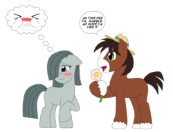 Size: 1750x1335 | Tagged: safe, marble pie, trouble shoes, earth pony, pony, g4, collar, crack shipping, dialogue, embarrassed, female, filly, flower, hat, look away, male, marbleshoes, shipping, simple background, speech bubble, straight, thought bubble, transparent background, unshorn fetlocks
