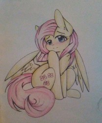 Size: 1280x1535 | Tagged: safe, artist:salty-irish-potato, fluttershy, pegasus, pony, g4, blushing, cute, female, looking at you, mare, shyabetes, sitting, solo, spread wings, traditional art, wings