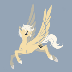 Size: 800x800 | Tagged: safe, artist:weird--fish, oc, oc only, pegasus, pony, simple background, solo