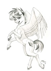 Size: 1000x1395 | Tagged: safe, artist:baron engel, oc, oc only, oc:apogee, pegasus, pony, chest fluff, colored hooves, female, filly, grayscale, looking at you, mare, monochrome, pencil drawing, signature, simple background, sketch, solo, spread wings, traditional art, white background, wings