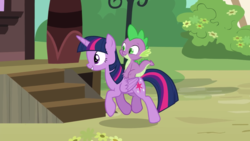 Size: 2400x1350 | Tagged: safe, screencap, spike, twilight sparkle, alicorn, dragon, pony, g4, ppov, dragons riding ponies, duo, female, mare, riding, spike riding twilight, trotting, twilight sparkle (alicorn)