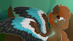 Size: 1920x1080 | Tagged: safe, artist:thatonefluffs, oc, oc only, oc:maple festival, pegasus, pony, large wings, solo, wings