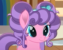 Size: 814x646 | Tagged: safe, screencap, petunia petals, earth pony, pony, g4, my little pony: rainbow roadtrip, cute, female, mare, petalbetes, pigtails, solo