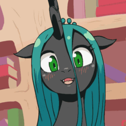Size: 540x540 | Tagged: safe, artist:siagia, edit, editor:kerinova, queen chrysalis, changeling, changeling queen, g4, animated, blinking, blushing, bust, cute, cute little fangs, cutealis, fangs, female, frame by frame, gif, golden oaks library, library, looking at you, loop, open mouth, perfect loop, portrait, smiling, solo