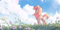 Size: 1000x511 | Tagged: safe, artist:littleskponfur, oc, oc only, earth pony, pony, clothes, cloud, flower, grass, scarf, side view, solo, ych result