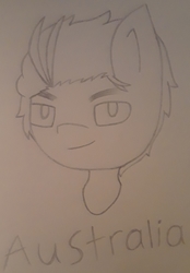 Size: 1583x2268 | Tagged: safe, artist:lightning135, earth pony, pony, australia, bust, hetalia, ponified, smiling, smirk, solo, traditional art