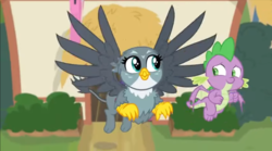 Size: 1304x726 | Tagged: safe, screencap, gabby, spike, dragon, griffon, dragon dropped, g4, cute, gabbybetes, smiling, spikabetes, winged spike, wings