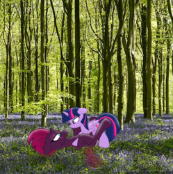 Size: 3331x3351 | Tagged: safe, artist:ejlightning007arts, tempest shadow, twilight sparkle, alicorn, pony, g4, beautiful, broken horn, eye scar, female, floppy ears, flower, forest, high res, horn, lesbian, looking at each other, lying down, photoshop, pinned, scar, ship:tempestlight, shipping, tree, twilight sparkle (alicorn), wood