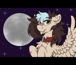 Size: 3500x3000 | Tagged: safe, artist:devorierdeos, oc, oc only, pegasus, pony, bandaid, bandaid on nose, chest fluff, collar, female, full moon, heterochromia, high res, hooves, letterboxing, mare, moon, night, night sky, sky, solo, spread wings, stars, tongue out, wings