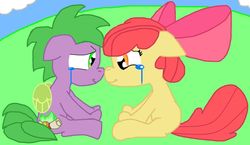 Size: 900x522 | Tagged: safe, artist:tagman007, apple bloom, spike, earth pony, pegasus, pony, g4, bow, colt, crying, cute, daaaaaaaaaaaw, female, filly, looking at each other, male, ponified, ponified spike, ship:spikebloom, shipping, species swap, straight, tears of joy