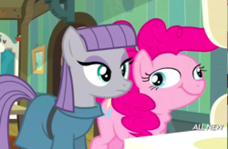 Size: 599x394 | Tagged: safe, screencap, maud pie, pinkie pie, earth pony, pony, g4, maud pie (episode), all new, clothes, derp, faic, female, great moments in animation, mare, mirror, ponk, portrait, silly face, text