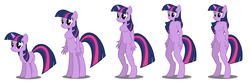 Size: 2346x774 | Tagged: safe, artist:flash equestria photography, twilight sparkle, centaur, pony, unicorn, anthro, taur, unguligrade anthro, g4, anthro with ponies, barbie doll anatomy, breasts, featureless breasts, featureless crotch, progression, self ponidox, show accurate, show accurate anthro, simple background, unicorn twilight, white background