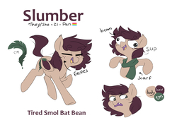 Size: 4290x3040 | Tagged: safe, artist:pucksterv, oc, oc only, oc:slumber tea, bat pony, pony, bat pony oc, beanbrows, brown mane, brows, clothes, cute, cute little fangs, derp, eyebrows, fangs, female, green scarf, mare, pansexual pride flag, pride, pride flag, reference sheet, scarf, simple background, solo, white background