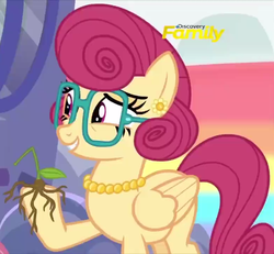 Size: 476x439 | Tagged: safe, screencap, posey shy, pony, flutter brutter, g4, cropped, discovery family logo, female, solo