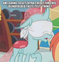 Size: 600x627 | Tagged: safe, edit, edited screencap, screencap, ocellus, changedling, changeling, 2 4 6 greaaat, g4, blindfold, caption, cropped, female, image macro, memeful.com, solo, text