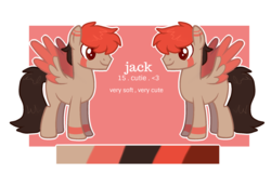 Size: 1917x1325 | Tagged: safe, artist:umiimou, oc, oc only, oc:jack, pegasus, pony, male, reference sheet, solo, stallion, two toned wings, wings