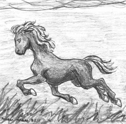Size: 2173x2138 | Tagged: safe, artist:mirdal, oc, oc:hellfire, horse, high res, male, monochrome, no pony, pencil drawing, stallion, swimming, traditional art, underwater