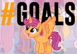 Size: 1798x1251 | Tagged: safe, artist:rainbow eevee, scootaloo, alicorn, bird, chicken, pony, g4, alicorn drama, alicornified, atg 2019, bronybait, drama, feathered wings, female, filly, goal, hashtag, newbie artist training grounds, not salmon, open mouth, race swap, scootachicken, scootacorn, scootalove, smiling, social media, solo, spread wings, the cmc's cutie marks, this will end in tears and/or death and/or covered in tree sap, this will not end well, wat, what has magic done, wings