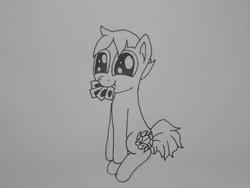 Size: 1024x768 | Tagged: safe, artist:ignionyx, oc, oc only, earth pony, pony, commission, cute, happy, solo, traditional art