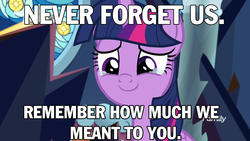 Size: 1920x1080 | Tagged: safe, edit, edited screencap, screencap, twilight sparkle, alicorn, pony, g4, the beginning of the end, caption, crying, end of ponies, image macro, text, twilight sparkle (alicorn)