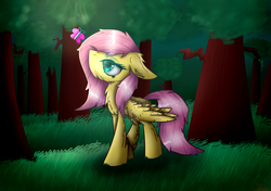 Size: 1698x1198 | Tagged: safe, artist:demandra02, fluttershy, butterfly, pony, g4, female, forest, grass, solo
