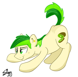 Size: 4337x4312 | Tagged: safe, artist:siggyderp, oc, oc only, oc:rangerpone, earth pony, pony, ear piercing, earring, implied gay, jewelry, male, piercing, pounce, raised tail, signature, simple background, sketch, solo, stallion, tail, white background