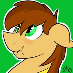 Size: 1280x1280 | Tagged: safe, artist:siggyderp, oc, oc only, pony, blushing, commission, icon, male, profile picture, signature, solo, stallion