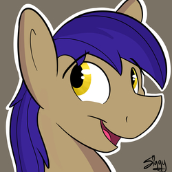 Size: 5000x5000 | Tagged: safe, artist:siggyderp, oc, oc only, pony, commission, icon, male, profile picture, signature, solo, stallion