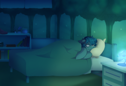 Size: 4000x2747 | Tagged: safe, artist:mylittlesheepy, oc, oc only, oc:poison trail, earth pony, pony, bed, bedroom, blanket, book, insomnia, lamp, pillow, plant, solo