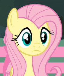 Size: 321x378 | Tagged: safe, artist:forgalorga, fluttershy, pegasus, pony, starlight vs mane 6, g4, :i, animated, awkward, cropped, female, gif, mare, poker face, solo, sweat, we bought two cakes, wide eyes