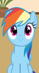 Size: 184x346 | Tagged: safe, artist:forgalorga, rainbow dash, pegasus, pony, your little pets, g4, :<, animated, behaving like a cat, cropped, cute, daaaaaaaaaaaw, dashabetes, female, forgalorga is trying to kill us, gif, looking back and forth, loop, mare, perfect loop, sitting, solo focus, sweet dreams fuel
