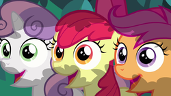 Size: 1280x720 | Tagged: safe, screencap, apple bloom, scootaloo, sweetie belle, earth pony, pegasus, pony, unicorn, g4, hearts and hooves day (episode), adorabloom, bow, cute, cutealoo, cutie mark crusaders, diasweetes, hair bow, happy, open mouth