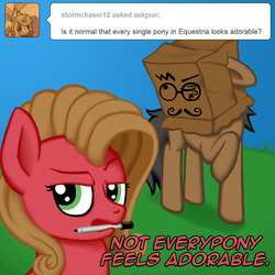 Size: 800x800 | Tagged: safe, artist:themovedragenda, oc, oc only, oc:pun, oc:ugly pony, pony, ask pun, ask, mouth hold, paper bag