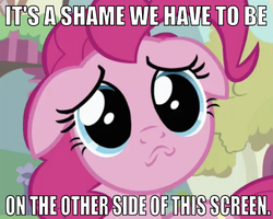 Size: 638x511 | Tagged: safe, edit, edited screencap, editor:undeadponysoldier, screencap, pinkie pie, earth pony, pony, a friend in deed, g4, adorable face, breaking the fourth wall, bronybait, caption, cropped, cute, female, floppy ears, frown, image macro, mare, ponyville, puppy dog eyes, sad, solo, talking to viewer, text