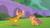 Size: 1920x1080 | Tagged: safe, artist:phucknuckl, scootaloo, smolder, dragon, pegasus, pony, g4, dragoness, duo, fake screencap, female, filly, i can't believe it's not hasbro studios, looking at each other, orange, raised eyebrow, similarities, stare down