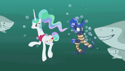 Size: 1920x1080 | Tagged: safe, screencap, princess celestia, princess luna, alicorn, great white shark, pony, shark, between dark and dawn, g4, alternate hairstyle, bare hooves, bikini, bubble, clothes, fangs, female, hair bun, holding breath, hungry, mare, oh dear, oh no, ponytail, red swimsuit, royal sisters, scared, sharp teeth, striped swimsuit, swimming, swimsuit, tail bun, teeth, underwater, wide eyes