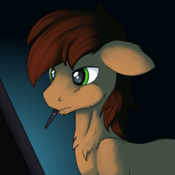 Size: 1000x1000 | Tagged: safe, artist:redquoz, oc, oc only, oc:red bark, earth pony, pony, atg 2019, chest fluff, concentrating, dramatic lighting, drawing, drawing tablet, ear fluff, floppy ears, green eyes, male, mouth hold, newbie artist training grounds, ponysona, self portrait, solo, stallion, stylus