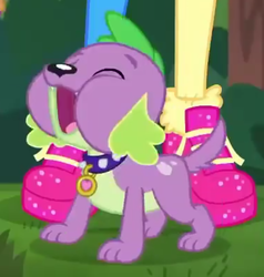 Size: 566x594 | Tagged: safe, screencap, pinkie pie, spike, spike the regular dog, dog, equestria girls, g4, my little pony equestria girls: choose your own ending, wake up!, wake up!: pinkie pie, cropped, cute, male, paws, shoes, sneakers, solo focus, spikabetes, spike's dog collar