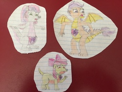 Size: 3264x2448 | Tagged: safe, artist:dupontsimon, apple bloom, scootaloo, sweetie belle, dog, dragon, kangaroo, fanfic:magic show of friendship, equestria girls, g4, alternate forms, cutie mark crusaders, dogified, dragonified, high res, lined paper, photo, puppy bloom, scootadragon, species swap, sweetie roo, traditional art, transformation