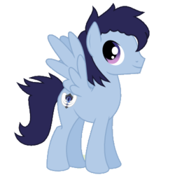 Size: 350x350 | Tagged: safe, artist:vinylbecks, oc, oc only, oc:shadow chaser, pegasus, pony, male, reference, simple background, solo, stallion, transparent background, vector, wings