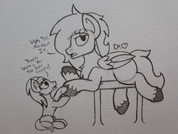 Size: 2576x1932 | Tagged: safe, artist:drheartdoodles, lotus blossom, oc, oc:dr.heart, clydesdale, pegasus, pony, g4, holding hooves, size difference, spa, table, traditional art