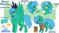 Size: 2910x1650 | Tagged: safe, artist:tay-niko-yanuciq, oc, oc only, oc:rover wonder, pegasus, pony, reference sheet, solo