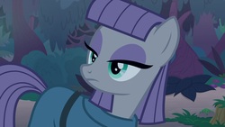 Size: 1920x1080 | Tagged: safe, screencap, maud pie, earth pony, pony, g4, student counsel, clothes, emotionless, eyeshadow, female, lidded eyes, makeup, mare, night, solo