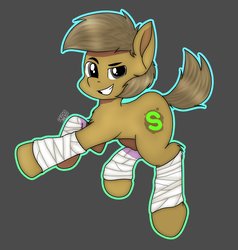 Size: 3894x4096 | Tagged: safe, artist:suchalmy, oc, oc only, oc:almond evergrow, earth pony, pony, fighter, male, solo, stallion
