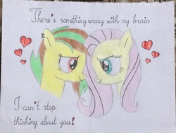 Size: 3264x2448 | Tagged: safe, artist:don2602, fluttershy, oc, oc:mango island, pegasus, pony, g4, bust, canon x oc, duo, ear piercing, female, heart, hearts and hooves day, high res, looking at each other, piercing, quote, traditional art