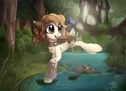 Size: 1280x931 | Tagged: safe, artist:radioaxi, oc, oc only, butterfly, earth pony, pony, snail, bell, bell collar, collar, forest, river, solo, tree, tree branch