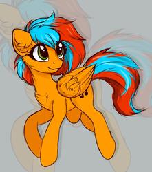 Size: 1280x1449 | Tagged: safe, artist:radioaxi, oc, oc only, pegasus, pony, solo, zoom layer
